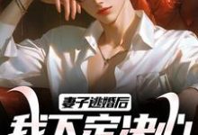 妻子逃婚后，我下定决心选了她小说的免费电子版在哪里可以下载或阅读？-推书机