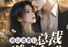 林深小说完整版《协议离婚后,总裁燃遍全球》免费阅读-推书机