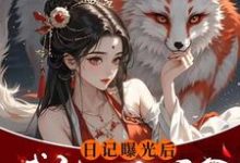 日记曝光后我被四个侯爷盯上了这本小说怎么样？免费在线阅读试试-推书机