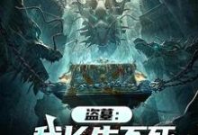 小说完整版《盗墓:我长生不死,墓主都是小辈》免费阅读-推书机