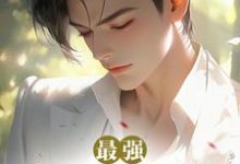最强兵魂王者小说阅读,最强兵魂王者完结版-推书机