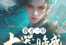 刘景完整版《我才一岁,大器晚成什么鬼?》小说免费阅读-推书机