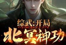 综武:开局北冥神功,获万年内力小说的免费电子版在哪里可以下载或阅读?-推书机