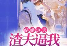 结婚这天，渣夫逼我让出工作给青梅小说的无弹窗阅读体验，寻找免费阅读网站-推书机
