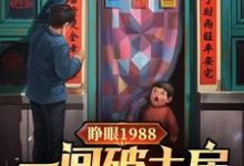 睁眼1988一间破土房俩没娘娃小说的所有章节都能在哪里免费读到？-推书机
