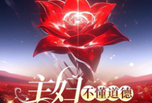 完整版小说《主妇不懂道德只懂法》免费阅读-推书机