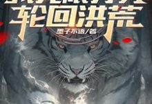 灵魂分身弱?我无限分身轮回洪荒小说完结版章节免费阅读-推书机