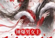 寻找锤爆男女主:医妃手撕系统撩暴君小说的最新更新章节-推书机