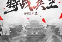 抗战之特战兵王完整版小说,抗战之特战兵王免费阅读-推书机