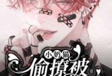 已完结小说《小奶猫偷撩被影帝盯上了》最新章节-推书机