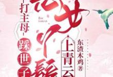 林妩小说打主母，踩世子，恶女丫鬟上青云完整版阅读-推书机