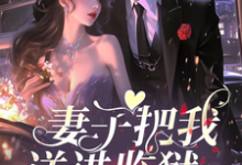 完整版小说《妻子把我送进监狱,她跪求我原谅》免费阅读-推书机