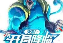 《火影:开局降临猿魔圣地》小说免费阅读完整版-推书机