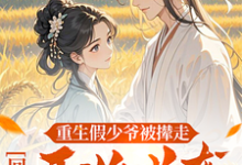 重生假少爷被撵走,回村开始逆袭许毅宋婉宁在线章节免费阅读-推书机