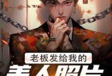 完整版小说《老板发给我的美人照片是老板娘》免费阅读-推书机