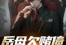 完整版《岳母欠赌债要被砍手？跟我没关系哈》小说免费阅读-推书机