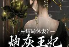 《结局休妻？炮灰王妃她力挽狂澜》李天娇玉宸完整版小说免费阅读-推书机