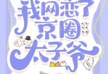 惊!我网恋了京圈太子爷小说全文哪里可以免费看?-推书机