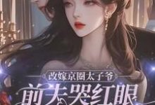 《改嫁京圈太子爷,前夫哭红眼求我别嫁》小说章节列表免费试读,姜栖晚祁深小说在线阅读-推书机