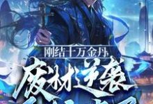 刚结十万金丹,废材逆袭系统来了这本小说在哪里可以看?哪里有免费试读章节?-推书机