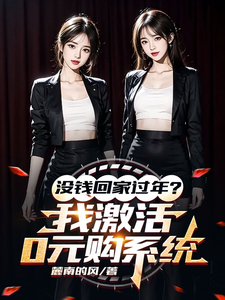 没钱回家过年？我激活0元购系统这本小说怎么样？免费在线阅读试试