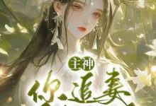 《主神，你追妻又失败了？》小说大结局免费试读 夏溪苏礼小说-推书机