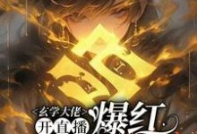 玄学大佬开直播，爆红阴阳两界完整版最新章节，玄学大佬开直播，爆红阴阳两界章节在线阅读-推书机