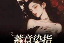 完结版《蓄意染指：大佬病态缠欢》免费阅读-推书机