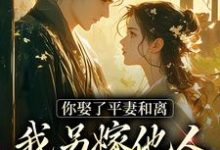 小说《你娶了平妻和离,我另嫁他人拦什么》在线章节阅读-推书机