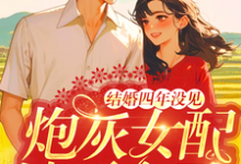 完结版《结婚四年没见,炮灰女配她不离了》免费阅读-推书机