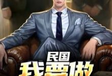 民国：我要做乱世枭雄这本小说完结了吗？免费查看最新章节-推书机