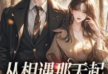 从相遇那天起，就注定解不开（秦扬展漾）完整版在线免费阅读-推书机