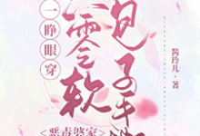 在线免费阅读一睁眼穿六零软包子手撕恶毒婆家完整小说-推书机