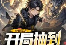 全球高武,开局抽到荒古圣体许天小说在线章节免费阅读-推书机