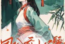 哪里能找到国公府小丫鬟小说的全部章节？-推书机