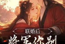 已完结小说《联婚后，将军你别太心动》章节在线阅读-推书机