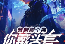 我就碰个瓷,你戴头套什么意思?免费阅读,我就碰个瓷,你戴头套什么意思?陆泽赵勇-推书机