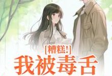 糟糕!我被毒舌霸总缠上了小说的免费电子版在哪里可以下载或阅读?-推书机