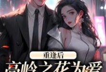 重逢后,高岭之花为爱变身追妻狂魔完整版小说,重逢后,高岭之花为爱变身追妻狂魔最新章节-推书机