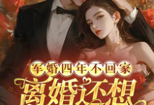 军婚四年不回家,离婚还想不离床小说有没有完整的免费版本在线阅读?-推书机