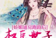 小说完整版《娇媚通房跑路后，权臣世子红了眼》免费阅读-推书机