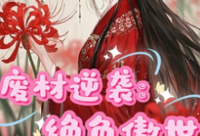 求废材逆袭:绝色傲世小说免费资源-推书机