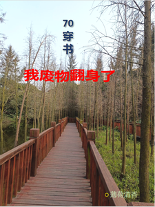 沈知意宋鹤年小说70穿书，我废物翻身了章节免费阅读