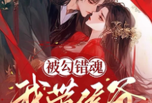 辛珑萧惊鹤小说完整版《被勾错魂，我带侯爷搬空京城流放》免费阅读-推书机