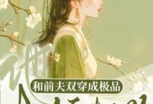陈汐林复白小说《和前夫双穿成极品，他权倾朝野了》完整版免费阅读-推书机