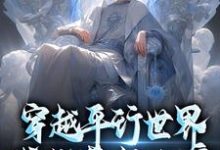 林辰小说在线章节免费阅读（穿越平行世界，我成暮年大帝无弹窗无删减）-推书机
