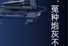 小说《快穿：冤种炮灰不干了》完整版在线章节免费阅读-推书机