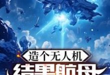 造个无人机,结果航母上天了?小说的免费阅读版本在哪里可以找到?-推书机