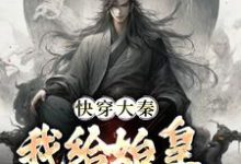 小说《快穿大秦：我给始皇当左相》章节免费阅读-推书机