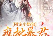 《团宠小奶包，疯批暴君沉迷养崽》萧璟月萧永乾小说免费阅读完整版-推书机